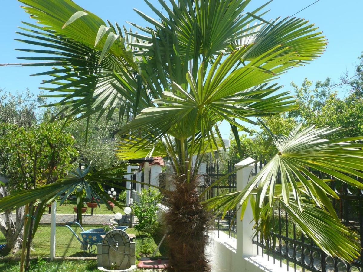Kallilkratia Holiday flat 2 Nea Kallikrateia Bagian luar foto